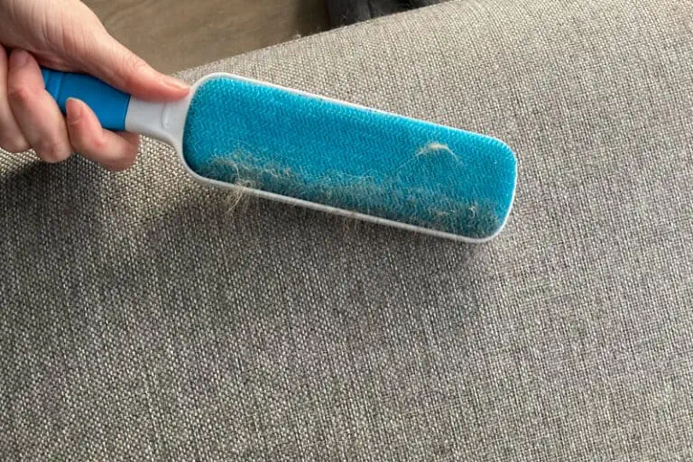 How to Remove Pet Hair from a Sofa